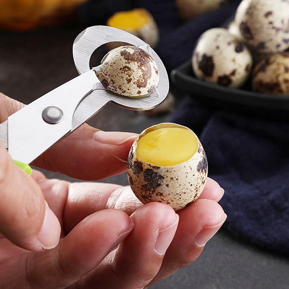 حمامة السمان مفتوحة الكراك قشر - مراجعة Egg Separator Tool وسعره