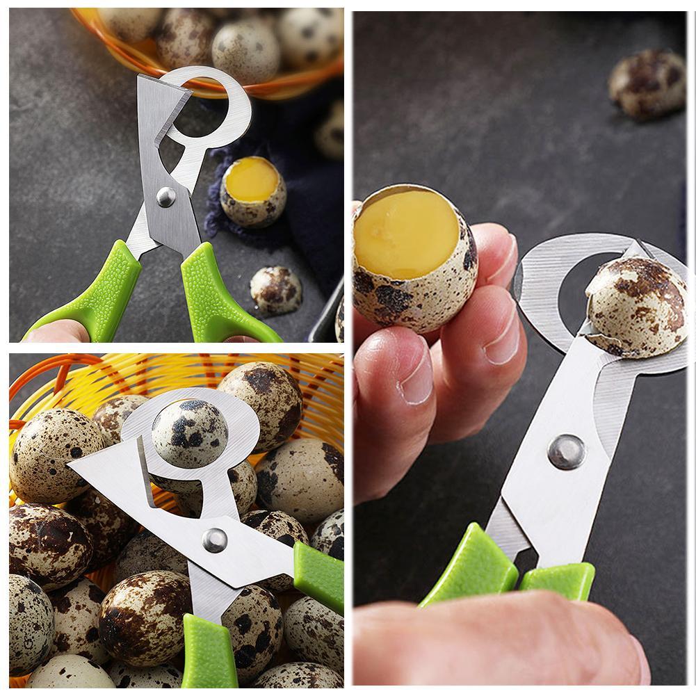 حمامة السمان مفتوحة الكراك قشر - مراجعة Egg Separator Tool وسعره