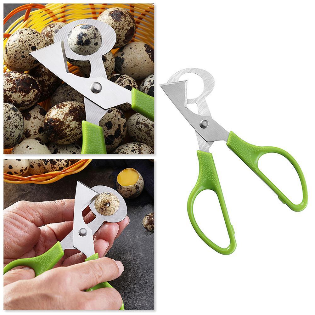 حمامة السمان مفتوحة الكراك قشر - مراجعة Egg Separator Tool وسعره