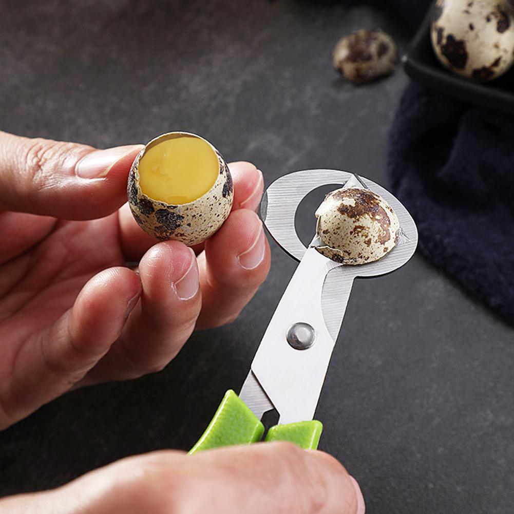 حمامة السمان مفتوحة الكراك قشر - مراجعة Egg Separator Tool وسعره